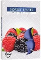 198b3ac7178c3d20c1f89c02cbfd5bbe