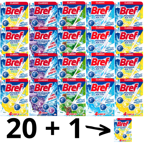 BREF 20+1.png